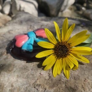 סבון גליצרין עם ריח דומדמניות שחורות