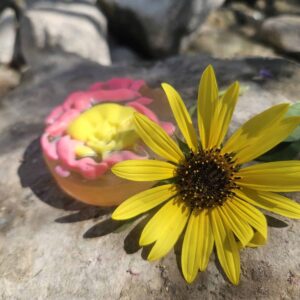 סבון גליצרין עם ריח של סקורה