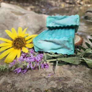 סבון נוביי גוד עם חימר ירוק עם ריח עץ אשוח